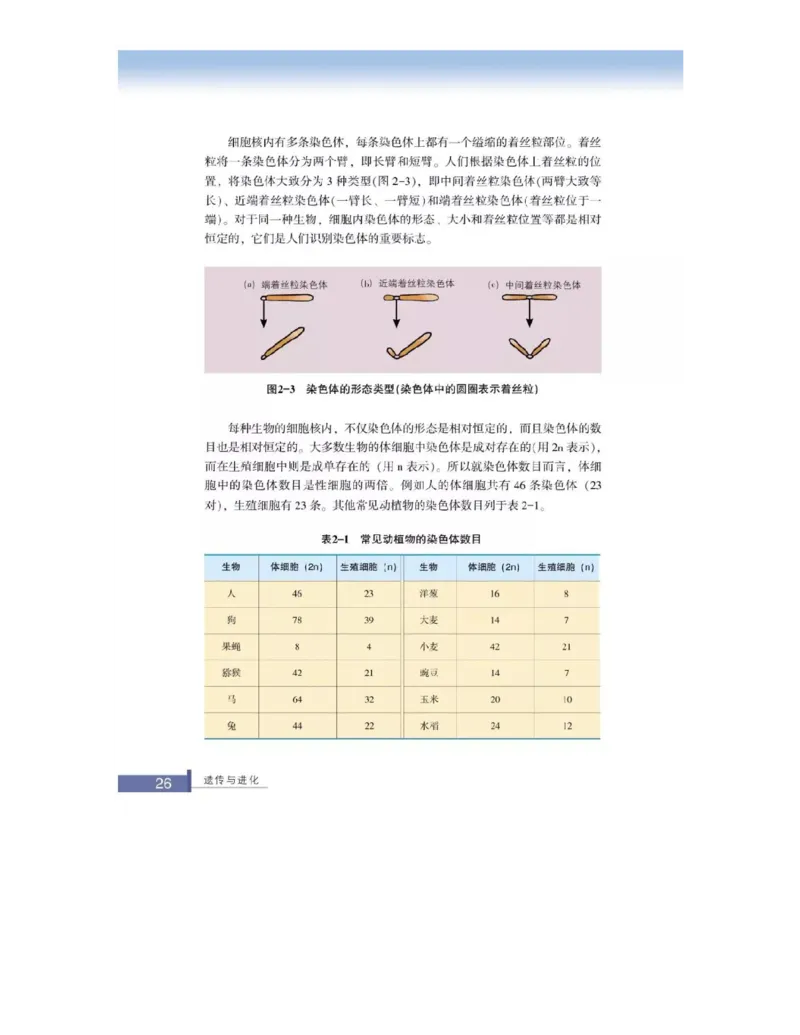 浙科版高中生物必修2《遗传与进化》电子课本_4-教培资料-26年最新资料-同步更新_初中高中教资_03科三专项（进去保存报考的学科即可）_112025高中科目（全）电子教材