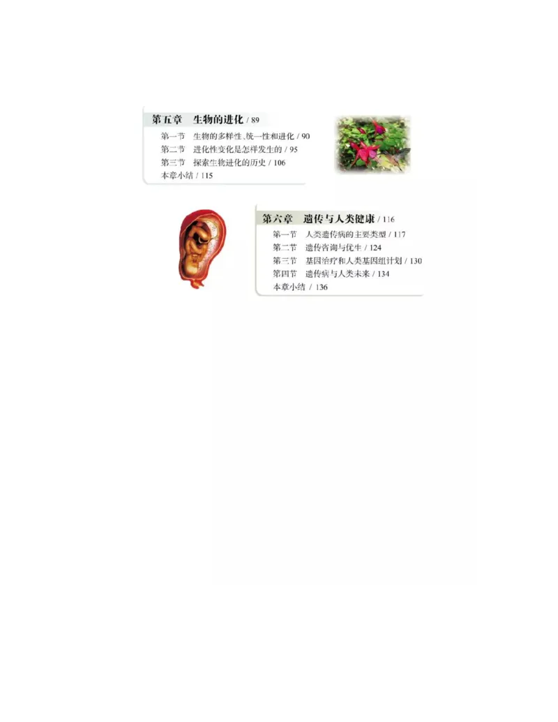 浙科版高中生物必修2《遗传与进化》电子课本_4-教培资料-26年最新资料-同步更新_初中高中教资_03科三专项（进去保存报考的学科即可）_112025高中科目（全）电子教材