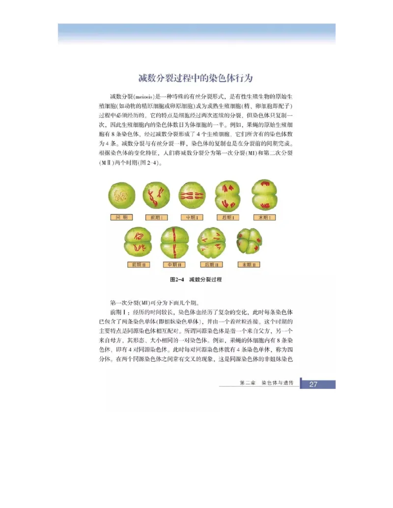 浙科版高中生物必修2《遗传与进化》电子课本_4-教培资料-26年最新资料-同步更新_初中高中教资_03科三专项（进去保存报考的学科即可）_112025高中科目（全）电子教材