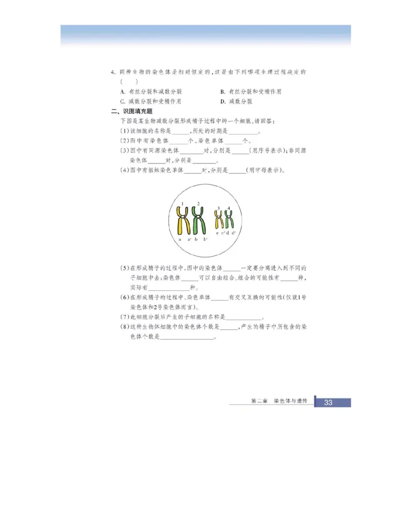 浙科版高中生物必修2《遗传与进化》电子课本_4-教培资料-26年最新资料-同步更新_初中高中教资_03科三专项（进去保存报考的学科即可）_112025高中科目（全）电子教材