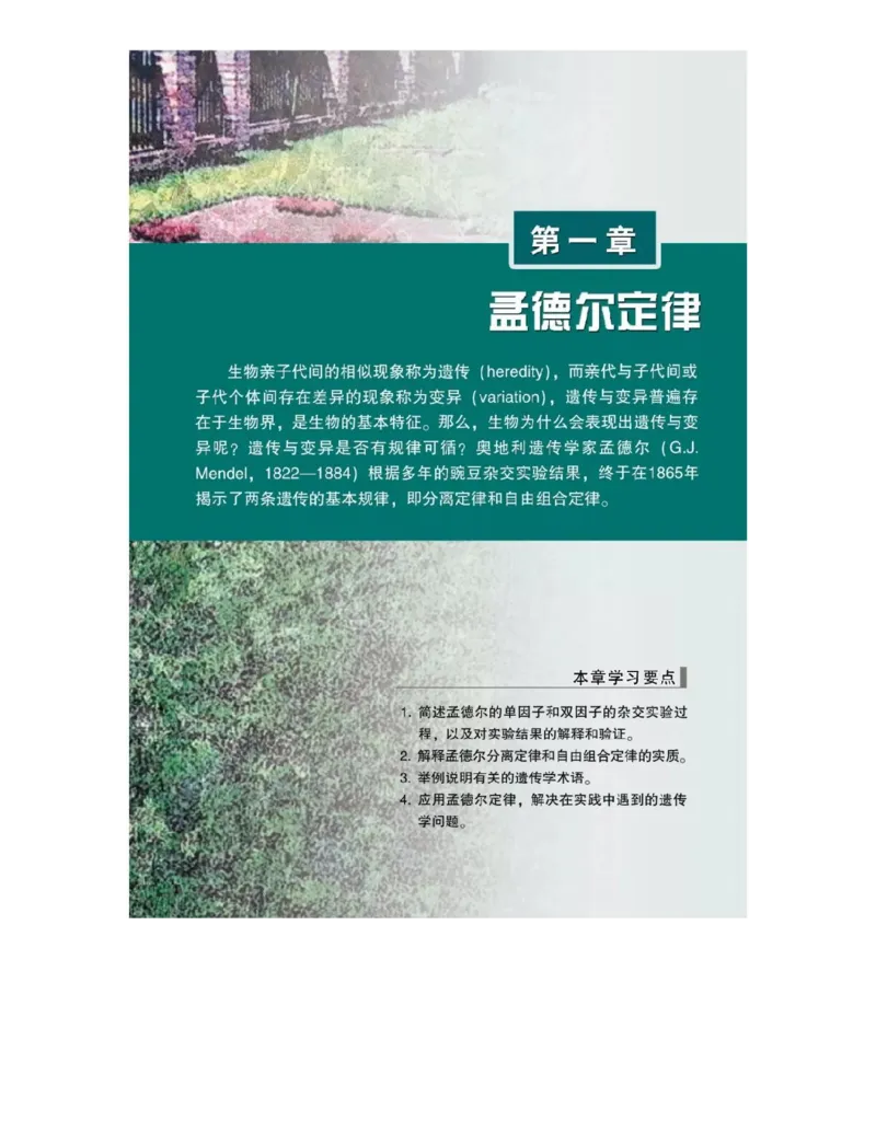 浙科版高中生物必修2《遗传与进化》电子课本_4-教培资料-26年最新资料-同步更新_初中高中教资_03科三专项（进去保存报考的学科即可）_112025高中科目（全）电子教材