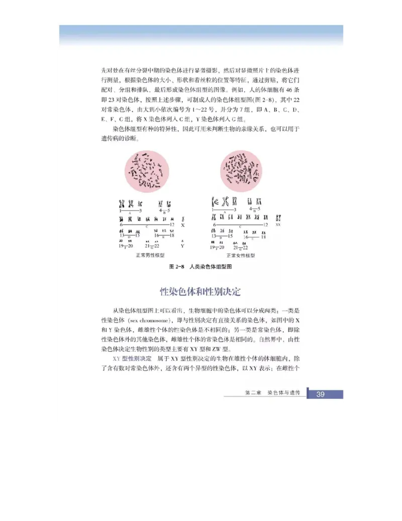 浙科版高中生物必修2《遗传与进化》电子课本_4-教培资料-26年最新资料-同步更新_初中高中教资_03科三专项（进去保存报考的学科即可）_112025高中科目（全）电子教材