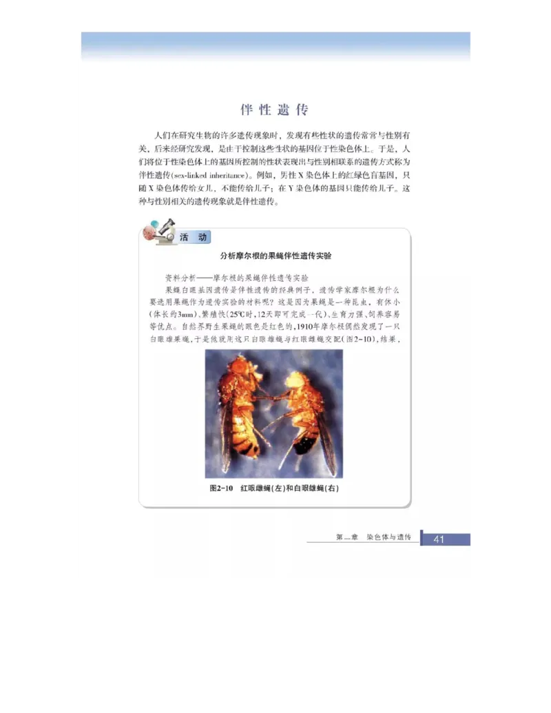 浙科版高中生物必修2《遗传与进化》电子课本_4-教培资料-26年最新资料-同步更新_初中高中教资_03科三专项（进去保存报考的学科即可）_112025高中科目（全）电子教材