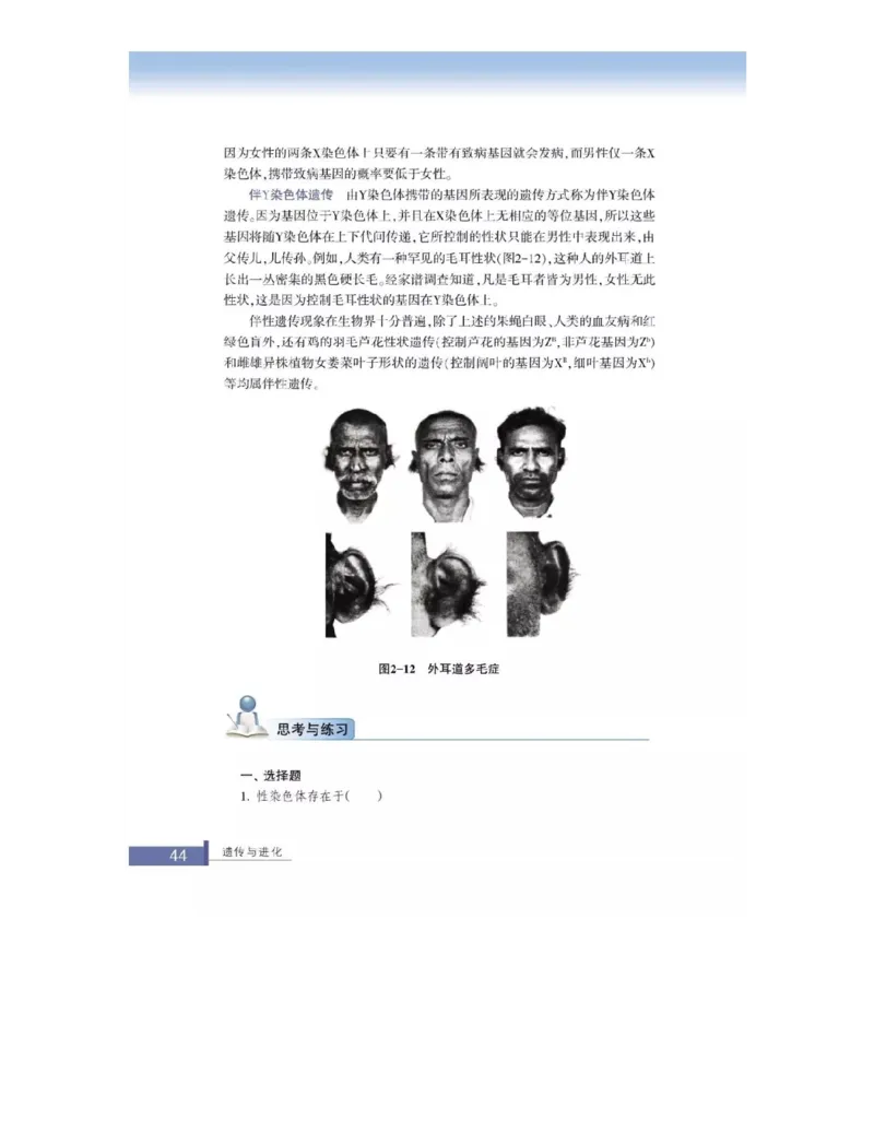 浙科版高中生物必修2《遗传与进化》电子课本_4-教培资料-26年最新资料-同步更新_初中高中教资_03科三专项（进去保存报考的学科即可）_112025高中科目（全）电子教材