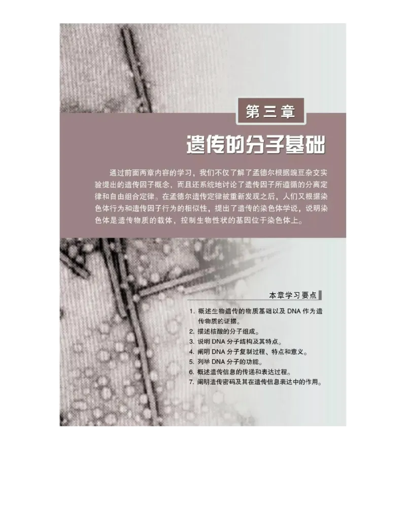 浙科版高中生物必修2《遗传与进化》电子课本_4-教培资料-26年最新资料-同步更新_初中高中教资_03科三专项（进去保存报考的学科即可）_112025高中科目（全）电子教材