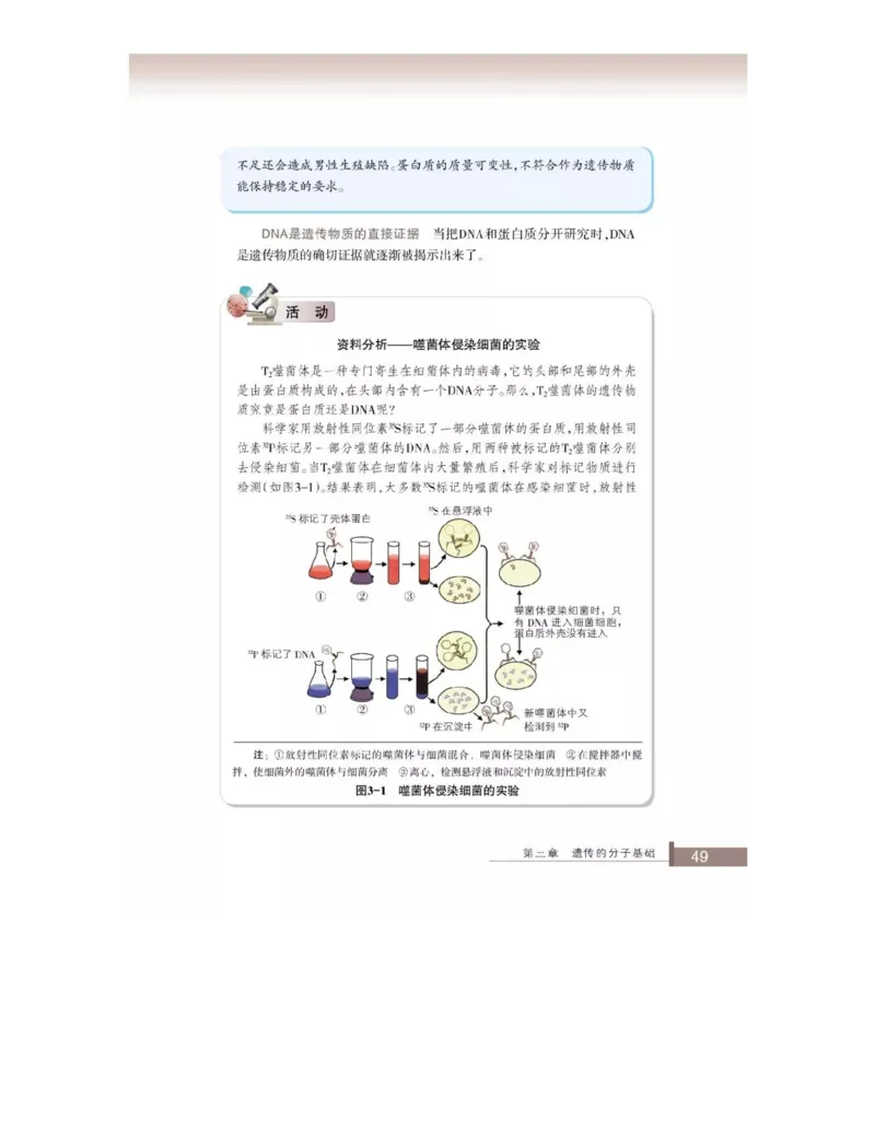 浙科版高中生物必修2《遗传与进化》电子课本_4-教培资料-26年最新资料-同步更新_初中高中教资_03科三专项（进去保存报考的学科即可）_112025高中科目（全）电子教材