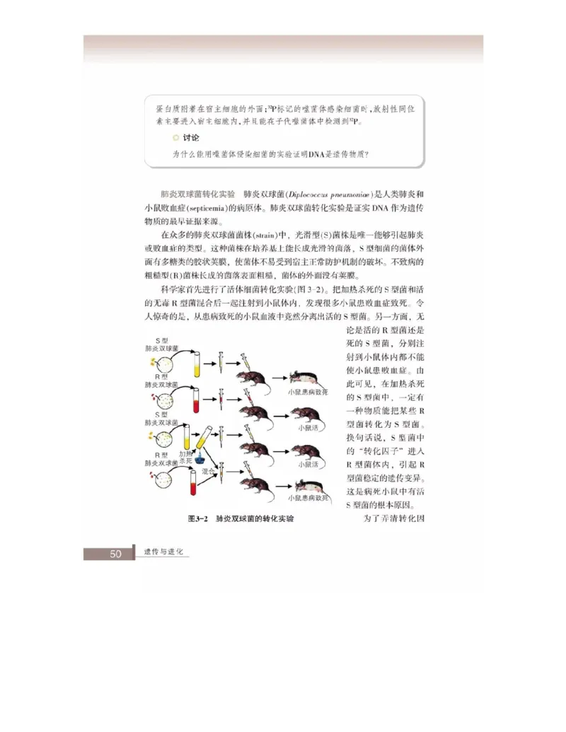 浙科版高中生物必修2《遗传与进化》电子课本_4-教培资料-26年最新资料-同步更新_初中高中教资_03科三专项（进去保存报考的学科即可）_112025高中科目（全）电子教材