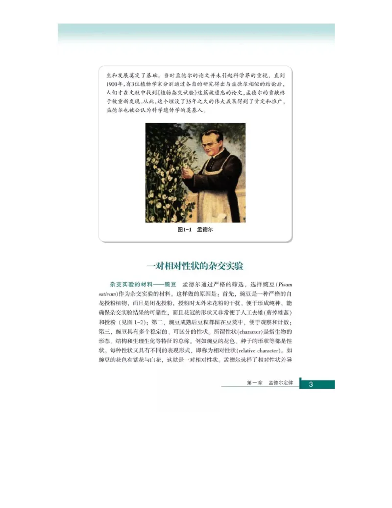 浙科版高中生物必修2《遗传与进化》电子课本_4-教培资料-26年最新资料-同步更新_初中高中教资_03科三专项（进去保存报考的学科即可）_112025高中科目（全）电子教材