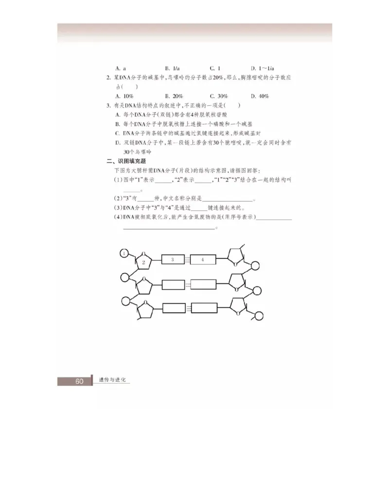 浙科版高中生物必修2《遗传与进化》电子课本_4-教培资料-26年最新资料-同步更新_初中高中教资_03科三专项（进去保存报考的学科即可）_112025高中科目（全）电子教材