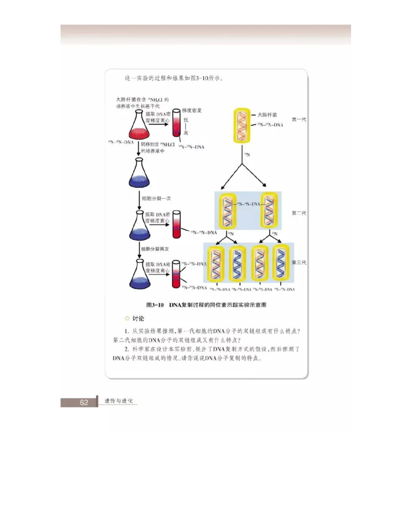浙科版高中生物必修2《遗传与进化》电子课本_4-教培资料-26年最新资料-同步更新_初中高中教资_03科三专项（进去保存报考的学科即可）_112025高中科目（全）电子教材