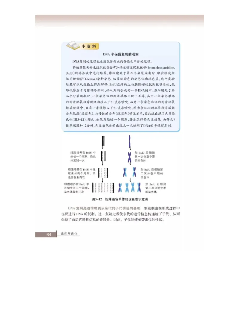 浙科版高中生物必修2《遗传与进化》电子课本_4-教培资料-26年最新资料-同步更新_初中高中教资_03科三专项（进去保存报考的学科即可）_112025高中科目（全）电子教材