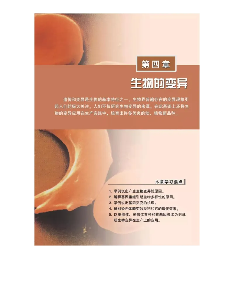 浙科版高中生物必修2《遗传与进化》电子课本_4-教培资料-26年最新资料-同步更新_初中高中教资_03科三专项（进去保存报考的学科即可）_112025高中科目（全）电子教材