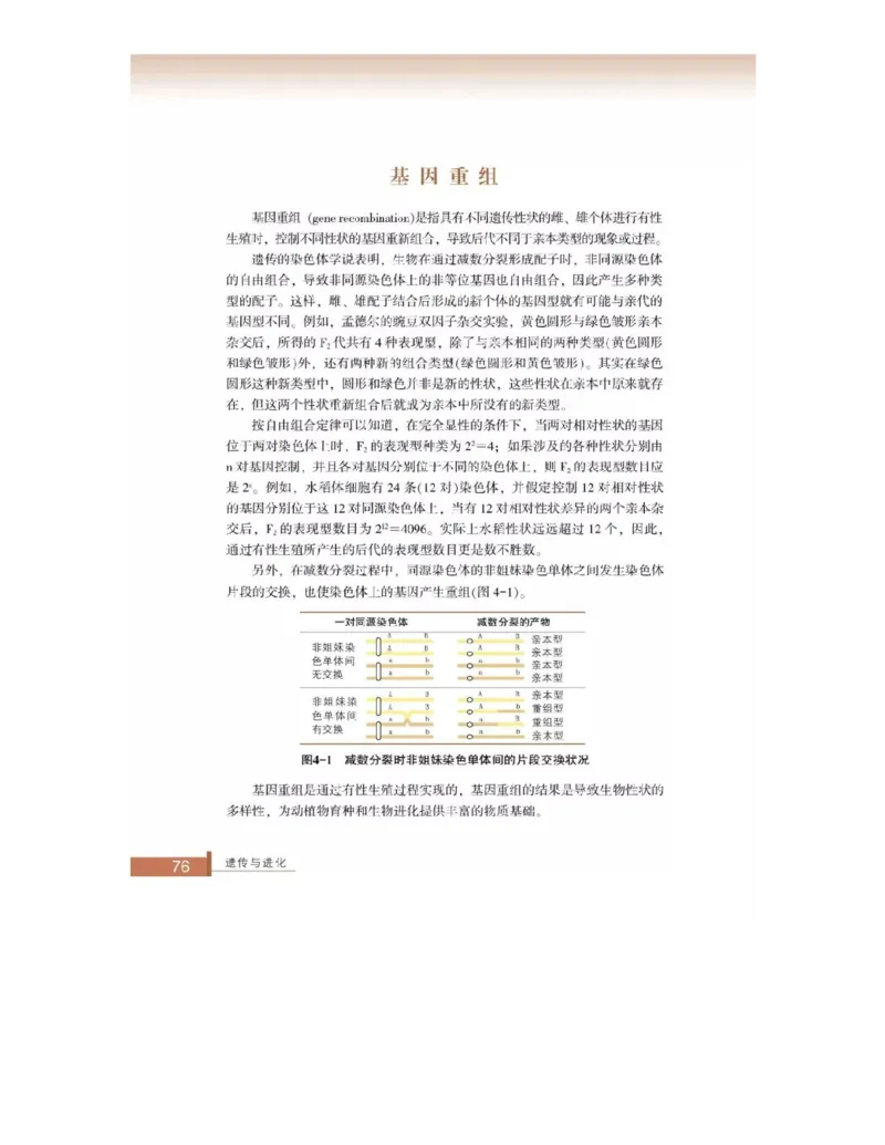 浙科版高中生物必修2《遗传与进化》电子课本_4-教培资料-26年最新资料-同步更新_初中高中教资_03科三专项（进去保存报考的学科即可）_112025高中科目（全）电子教材