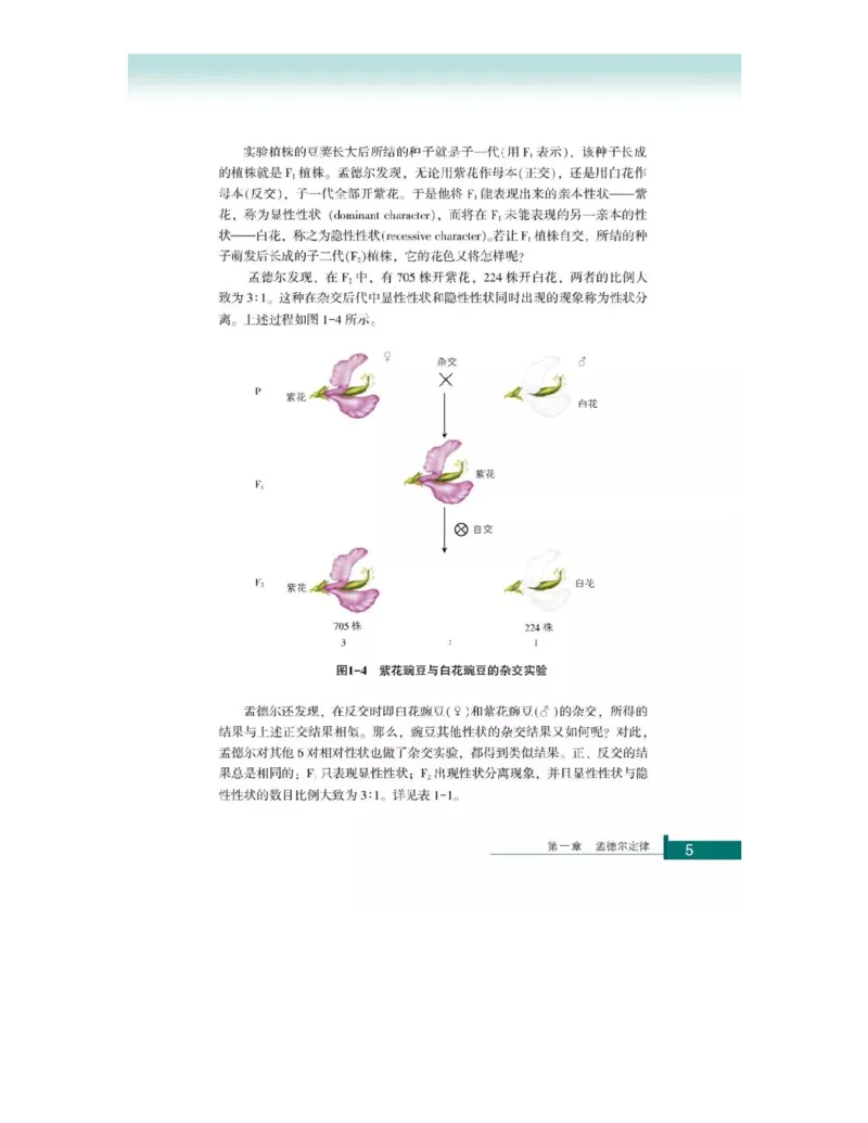 浙科版高中生物必修2《遗传与进化》电子课本_4-教培资料-26年最新资料-同步更新_初中高中教资_03科三专项（进去保存报考的学科即可）_112025高中科目（全）电子教材