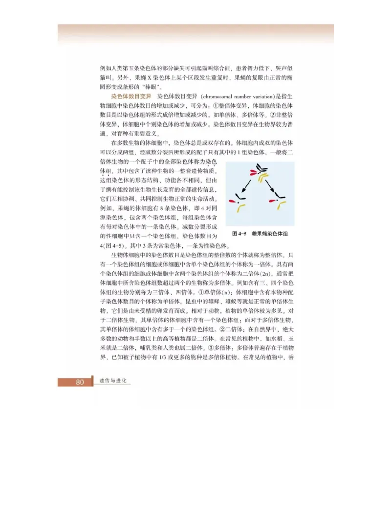 浙科版高中生物必修2《遗传与进化》电子课本_4-教培资料-26年最新资料-同步更新_初中高中教资_03科三专项（进去保存报考的学科即可）_112025高中科目（全）电子教材