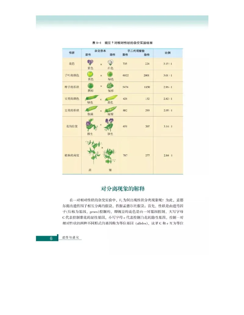 浙科版高中生物必修2《遗传与进化》电子课本_4-教培资料-26年最新资料-同步更新_初中高中教资_03科三专项（进去保存报考的学科即可）_112025高中科目（全）电子教材