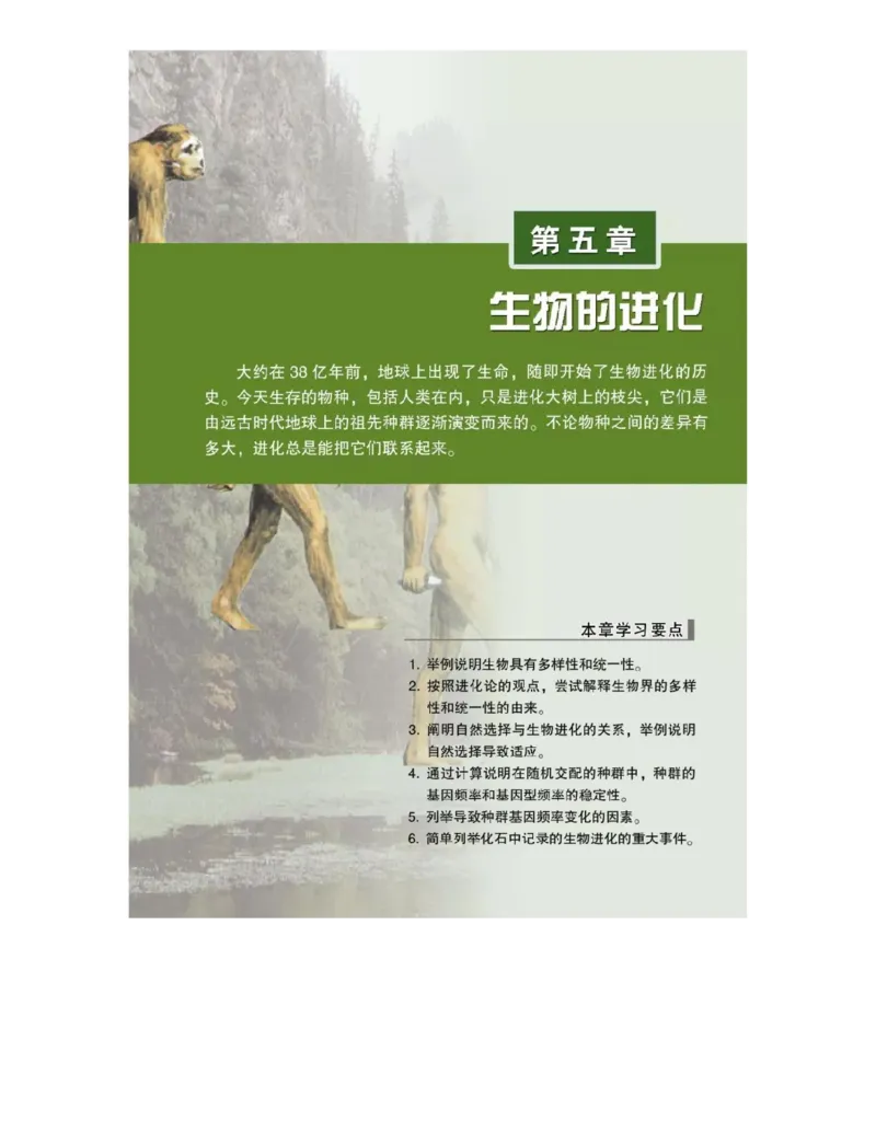 浙科版高中生物必修2《遗传与进化》电子课本_4-教培资料-26年最新资料-同步更新_初中高中教资_03科三专项（进去保存报考的学科即可）_112025高中科目（全）电子教材