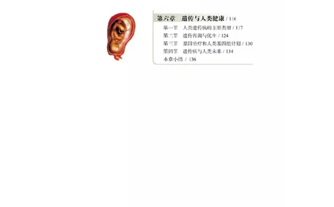 浙科版高中生物必修2《遗传与进化》电子课本_4-教培资料-26年最新资料-同步更新_初中高中教资_03科三专项（进去保存报考的学科即可）_112025高中科目（全）电子教材