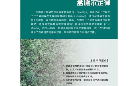 浙科版高中生物必修2《遗传与进化》电子课本_4-教培资料-26年最新资料-同步更新_初中高中教资_03科三专项（进去保存报考的学科即可）_112025高中科目（全）电子教材