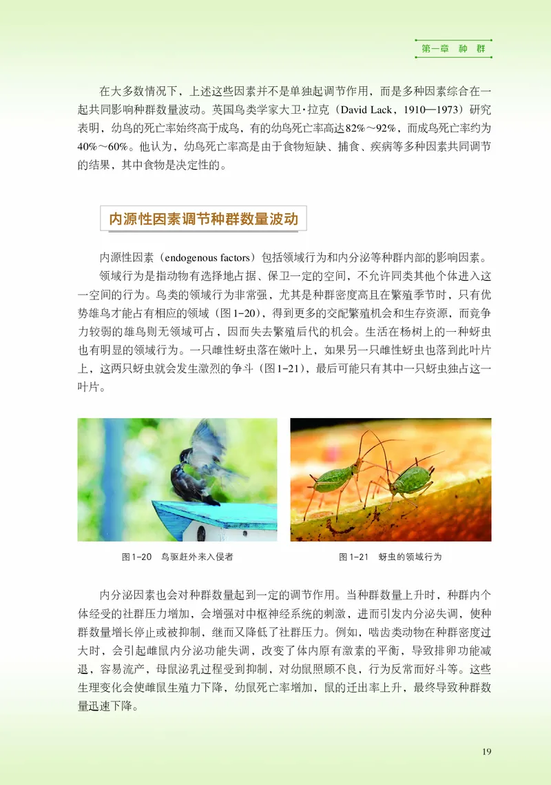 浙科版生物选修2高清教材_4-教培资料-26年最新资料-同步更新_初中高中教资_03科三专项（进去保存报考的学科即可）_02科三专项（笔记真题思维导图教学设计版本二）