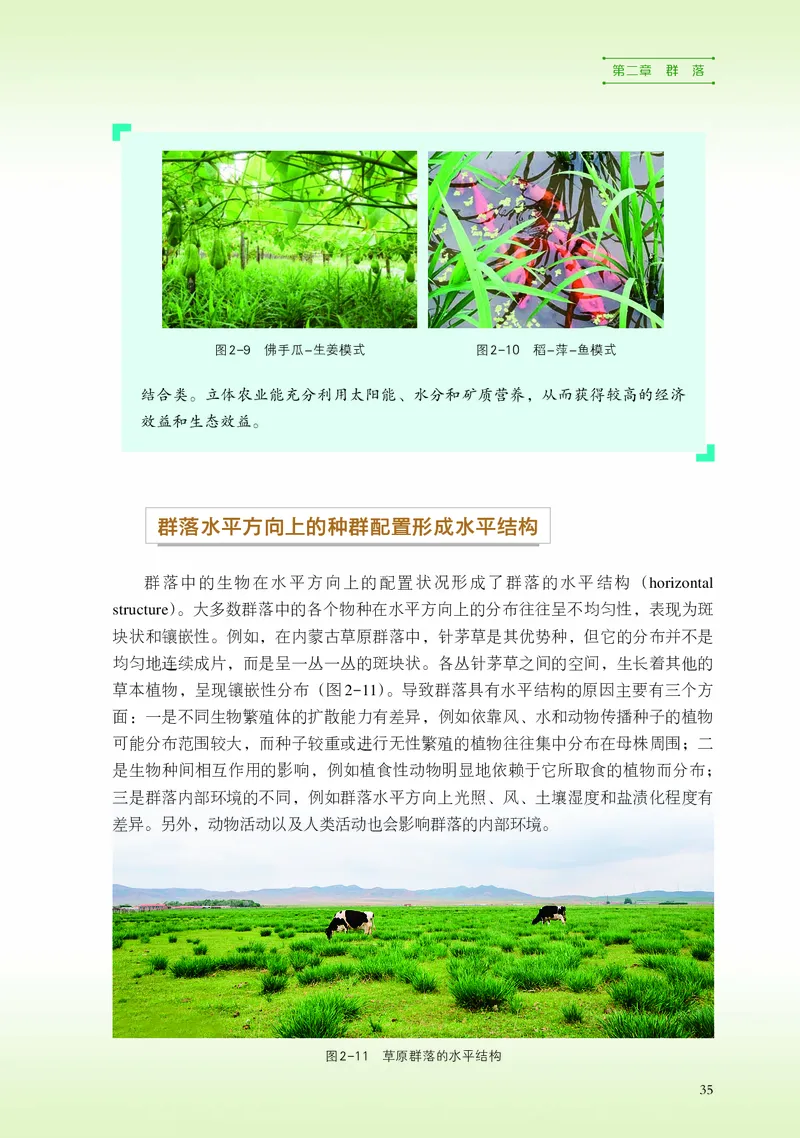 浙科版生物选修2高清教材_4-教培资料-26年最新资料-同步更新_初中高中教资_03科三专项（进去保存报考的学科即可）_02科三专项（笔记真题思维导图教学设计版本二）