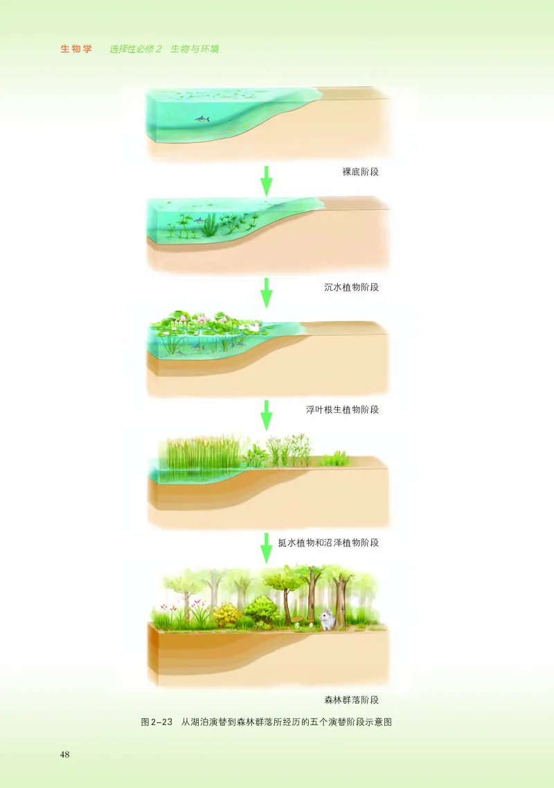 浙科版生物选修2高清教材_4-教培资料-26年最新资料-同步更新_初中高中教资_03科三专项（进去保存报考的学科即可）_02科三专项（笔记真题思维导图教学设计版本二）
