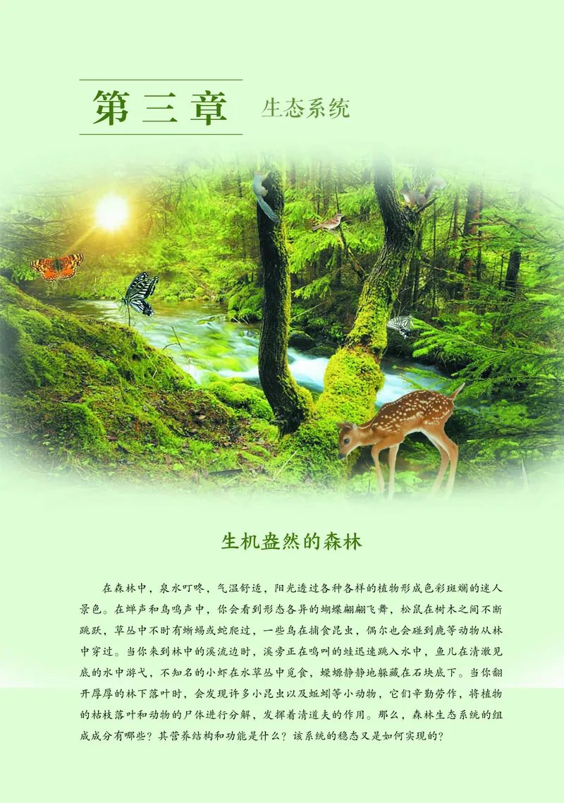 浙科版生物选修2高清教材_4-教培资料-26年最新资料-同步更新_初中高中教资_03科三专项（进去保存报考的学科即可）_02科三专项（笔记真题思维导图教学设计版本二）