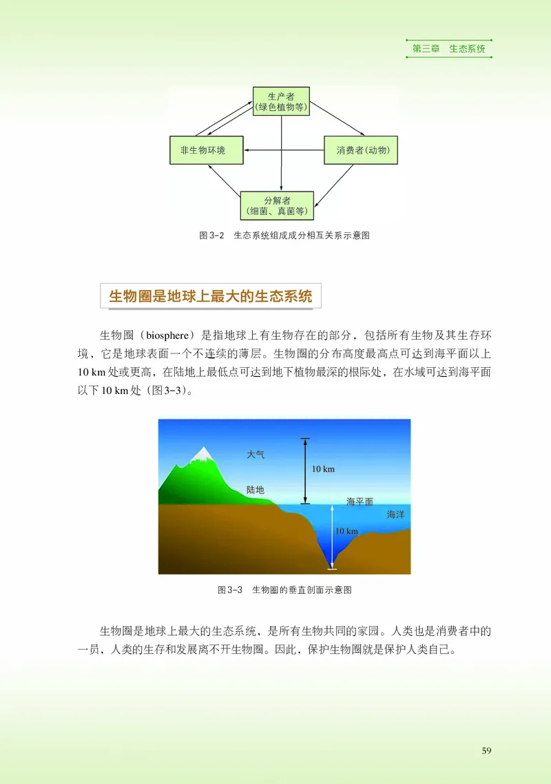 浙科版生物选修2高清教材_4-教培资料-26年最新资料-同步更新_初中高中教资_03科三专项（进去保存报考的学科即可）_02科三专项（笔记真题思维导图教学设计版本二）