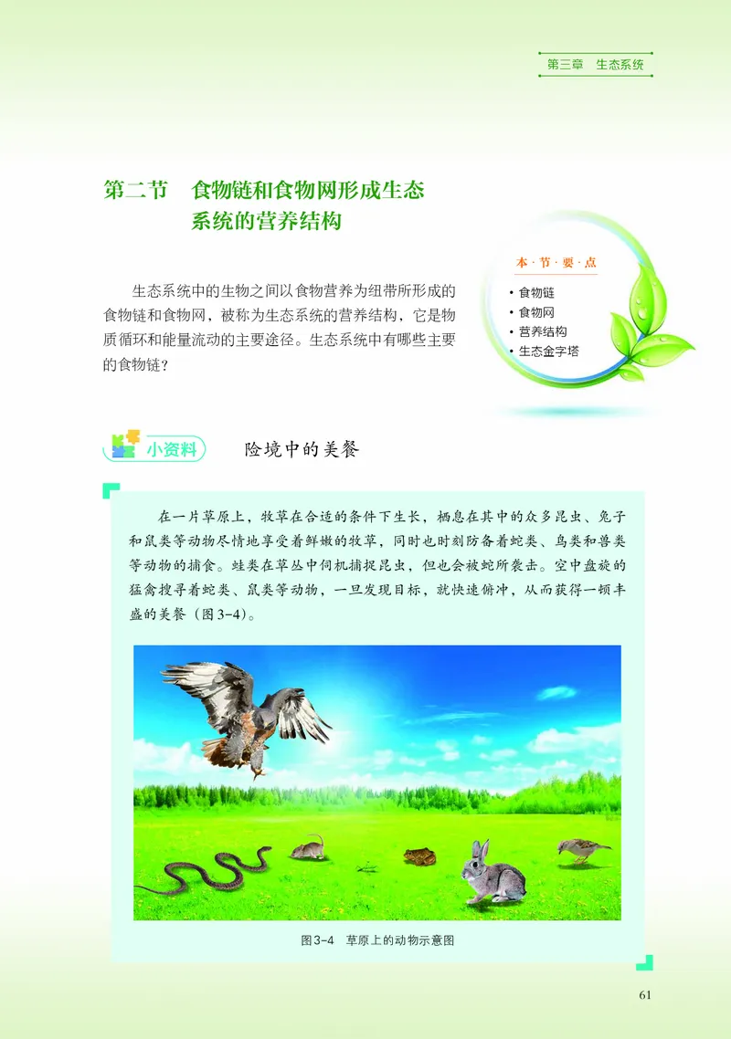 浙科版生物选修2高清教材_4-教培资料-26年最新资料-同步更新_初中高中教资_03科三专项（进去保存报考的学科即可）_02科三专项（笔记真题思维导图教学设计版本二）