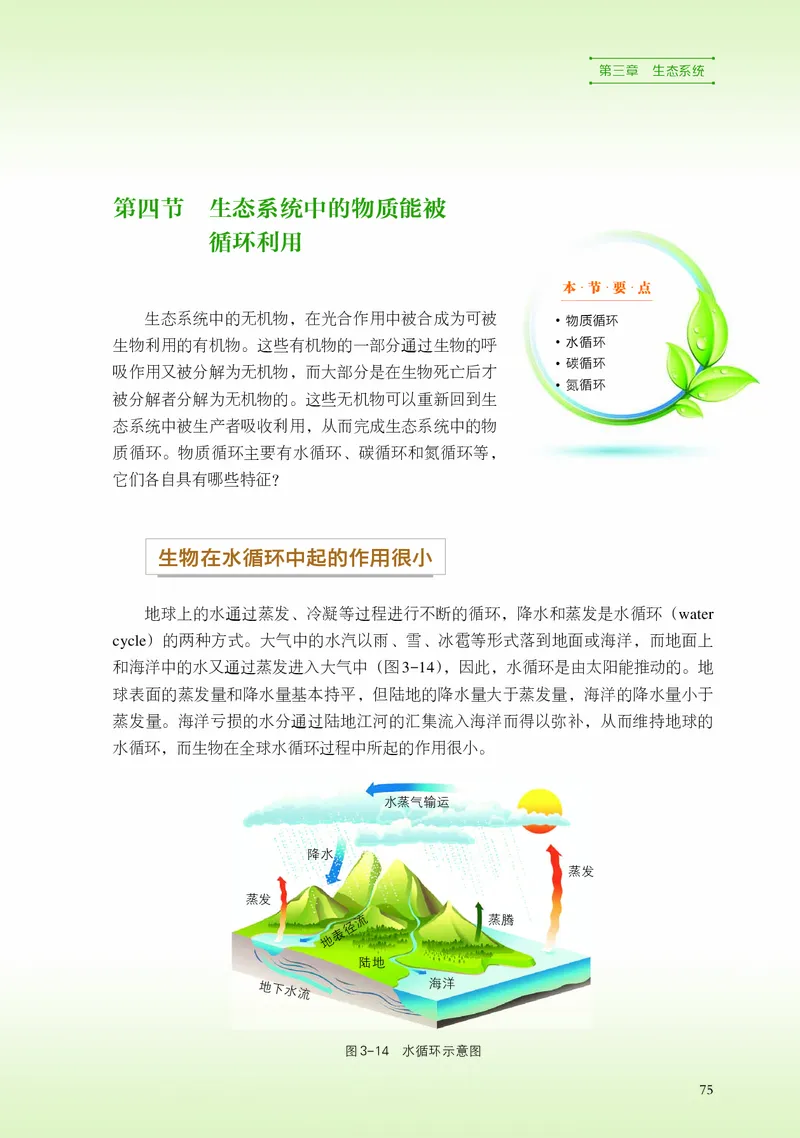 浙科版生物选修2高清教材_4-教培资料-26年最新资料-同步更新_初中高中教资_03科三专项（进去保存报考的学科即可）_02科三专项（笔记真题思维导图教学设计版本二）