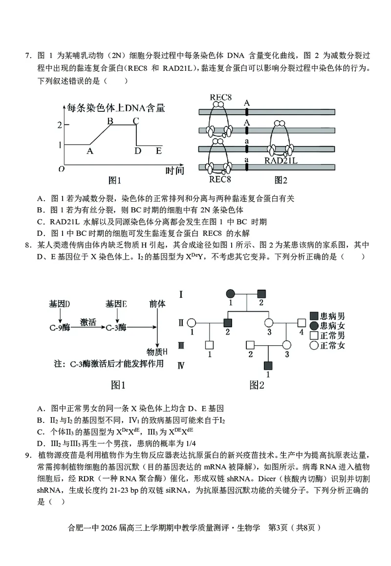 生物合肥一中2026届高三上学期期中教学质量检测_251115安徽省合肥一中2026届高三上学期期中教学质量检测（全科）