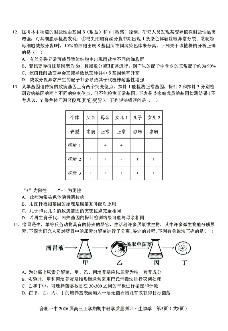 生物合肥一中2026届高三上学期期中教学质量检测_251115安徽省合肥一中2026届高三上学期期中教学质量检测（全科）