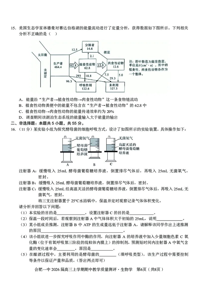 生物合肥一中2026届高三上学期期中教学质量检测_251115安徽省合肥一中2026届高三上学期期中教学质量检测（全科）