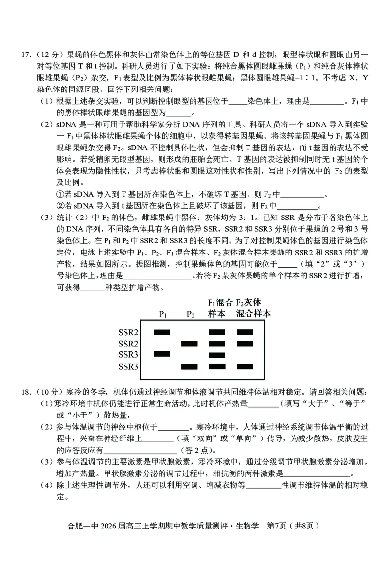 生物合肥一中2026届高三上学期期中教学质量检测_251115安徽省合肥一中2026届高三上学期期中教学质量检测（全科）