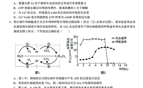 生物合肥一中2026届高三上学期期中教学质量检测_251115安徽省合肥一中2026届高三上学期期中教学质量检测（全科）
