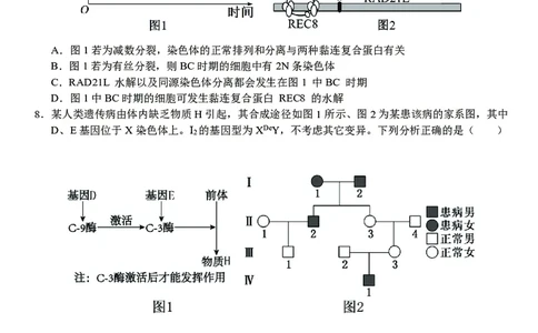 生物合肥一中2026届高三上学期期中教学质量检测_251115安徽省合肥一中2026届高三上学期期中教学质量检测（全科）