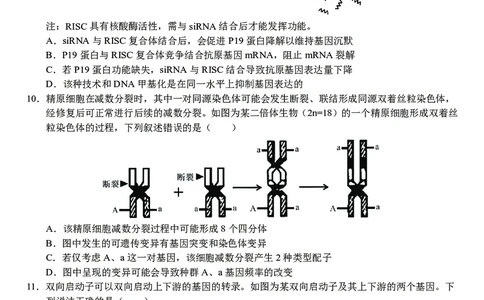 生物合肥一中2026届高三上学期期中教学质量检测_251115安徽省合肥一中2026届高三上学期期中教学质量检测（全科）