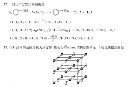 河北省部分学校2024-2025学年高二下学期7月期末考试化学试卷（含答案）_2025年7月_250714河北省金太阳2024-2025学年高二下学期7月期末考试