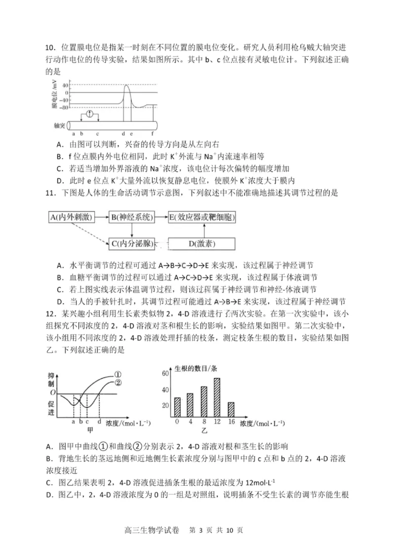 大连滨城高中联盟2025-2026学年度上学期高三期中Ⅱ考试生物_2025年12月_251205大连滨城高中联盟2025-2026学年度上学期高三期中Ⅱ考试（全科）