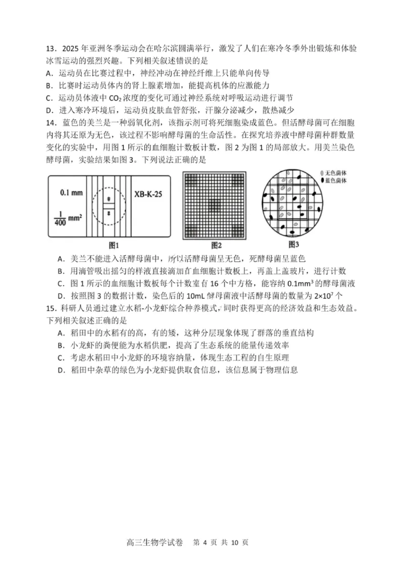 大连滨城高中联盟2025-2026学年度上学期高三期中Ⅱ考试生物_2025年12月_251205大连滨城高中联盟2025-2026学年度上学期高三期中Ⅱ考试（全科）