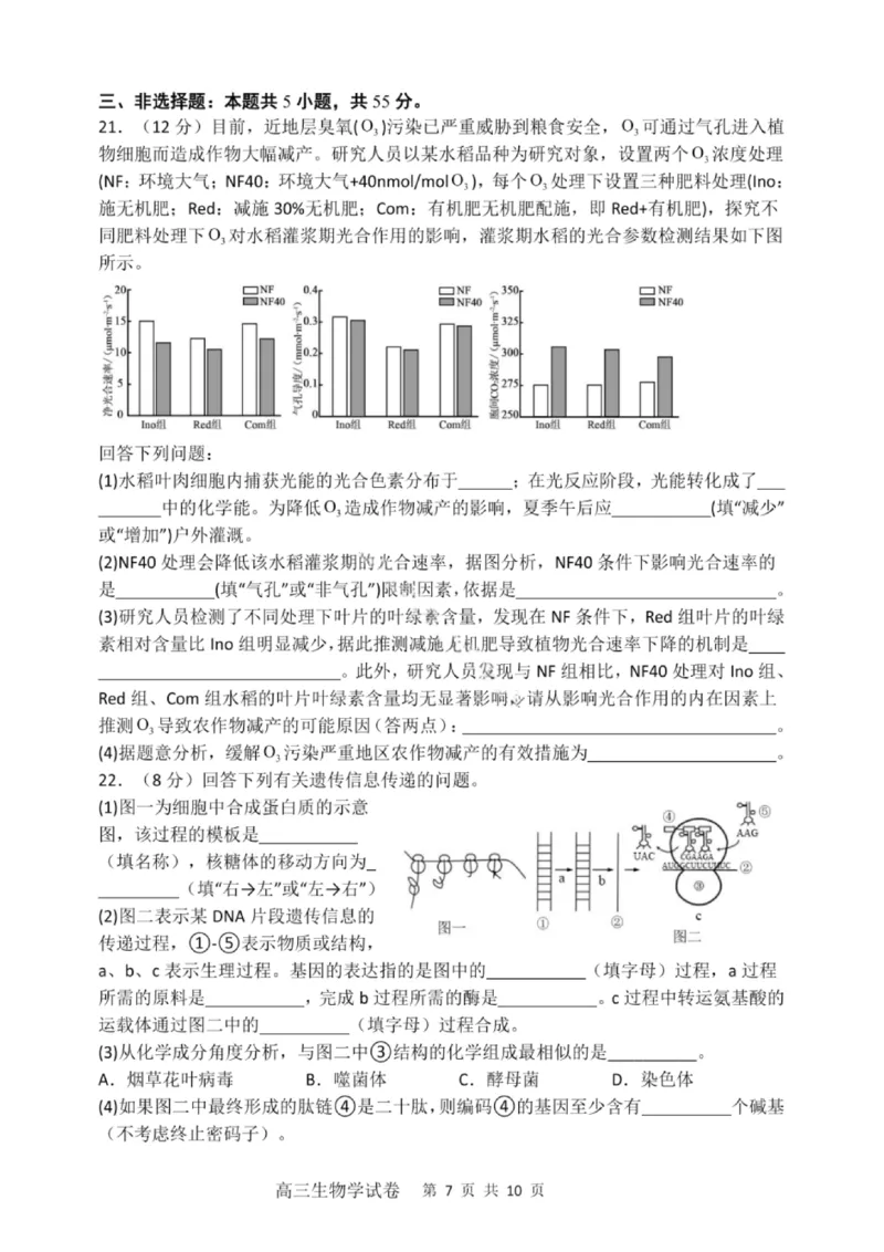大连滨城高中联盟2025-2026学年度上学期高三期中Ⅱ考试生物_2025年12月_251205大连滨城高中联盟2025-2026学年度上学期高三期中Ⅱ考试（全科）
