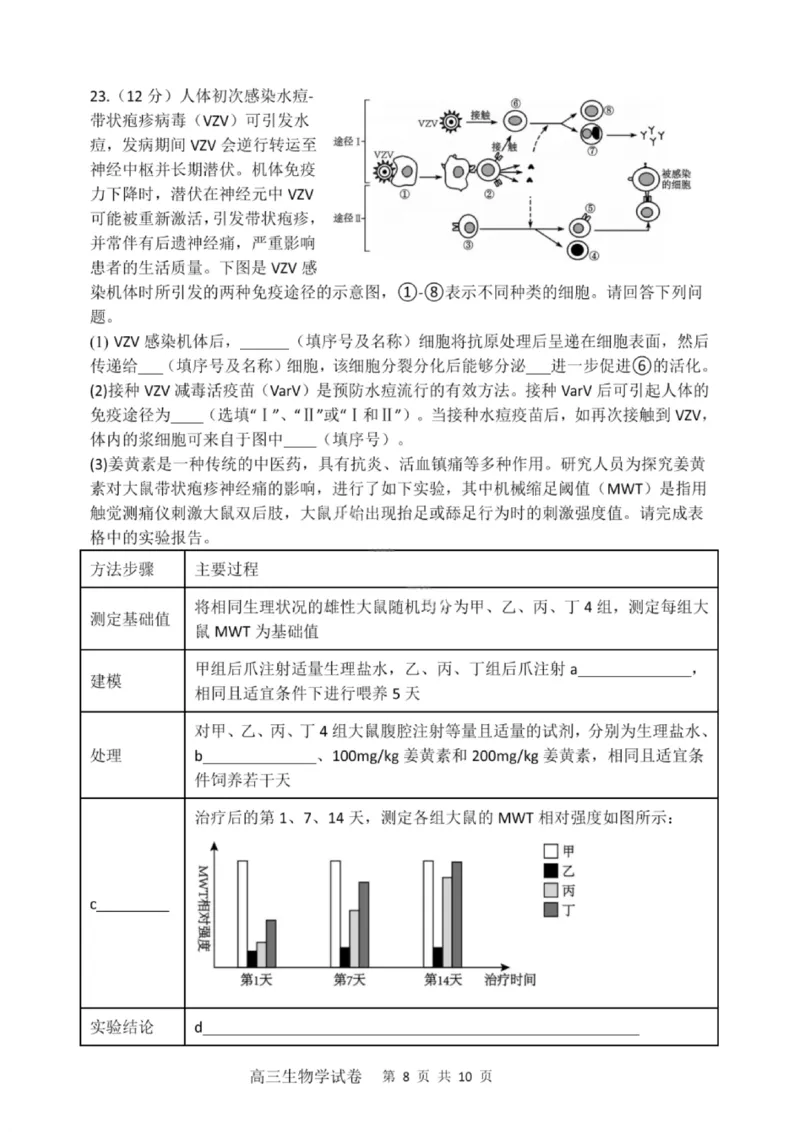大连滨城高中联盟2025-2026学年度上学期高三期中Ⅱ考试生物_2025年12月_251205大连滨城高中联盟2025-2026学年度上学期高三期中Ⅱ考试（全科）