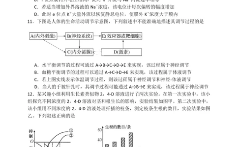 大连滨城高中联盟2025-2026学年度上学期高三期中Ⅱ考试生物_2025年12月_251205大连滨城高中联盟2025-2026学年度上学期高三期中Ⅱ考试（全科）