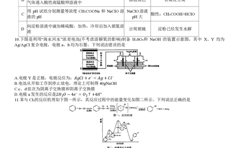2024年大连市高三双基测试卷化学_2024年1月_01每日更新_17号_2024届辽宁省大连市高三上学期期末双基测试_辽宁省大连市2024届高三上学期期末双基测试化学