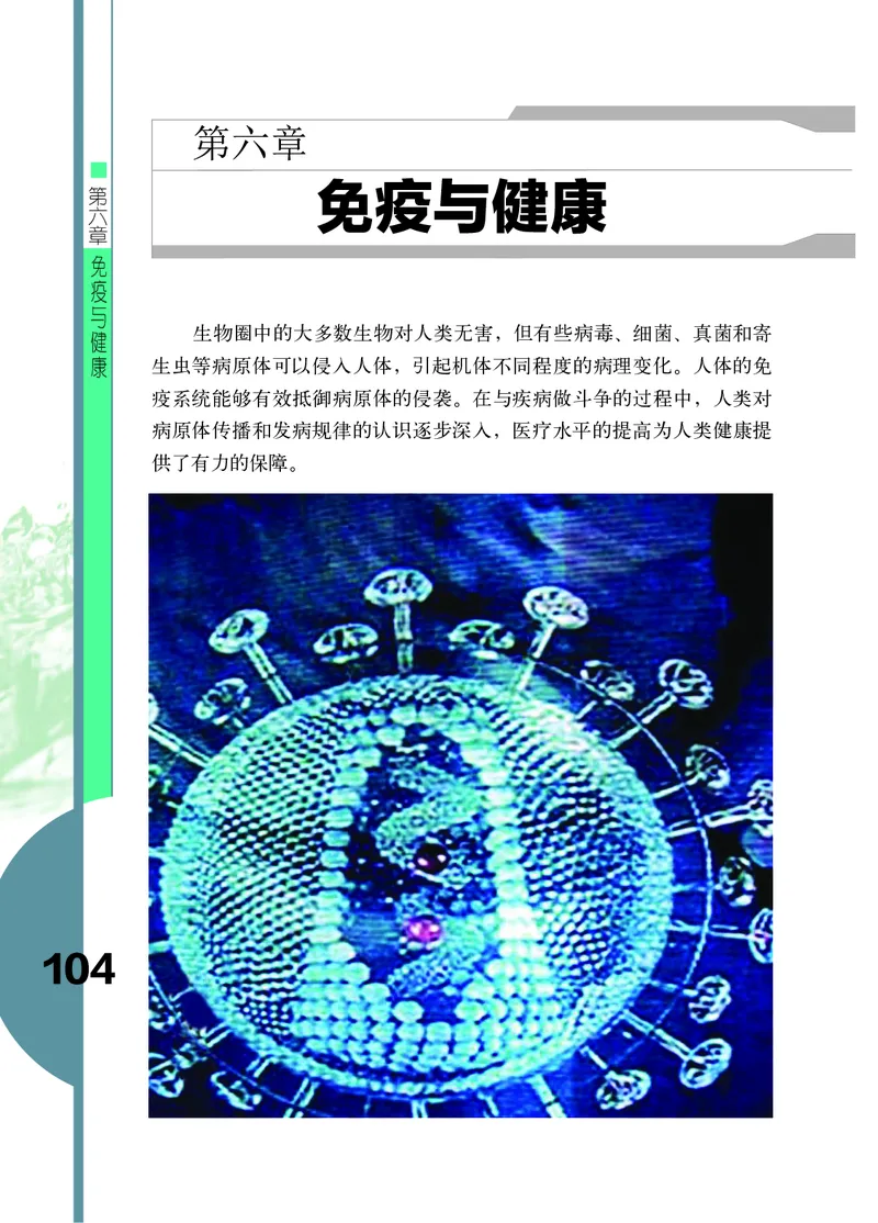 济南版7年级生物下册高清教材_4-教培资料-26年最新资料-同步更新_初中高中教资_03科三专项（进去保存报考的学科即可）_02科三专项（笔记真题思维导图教学设计版本二）