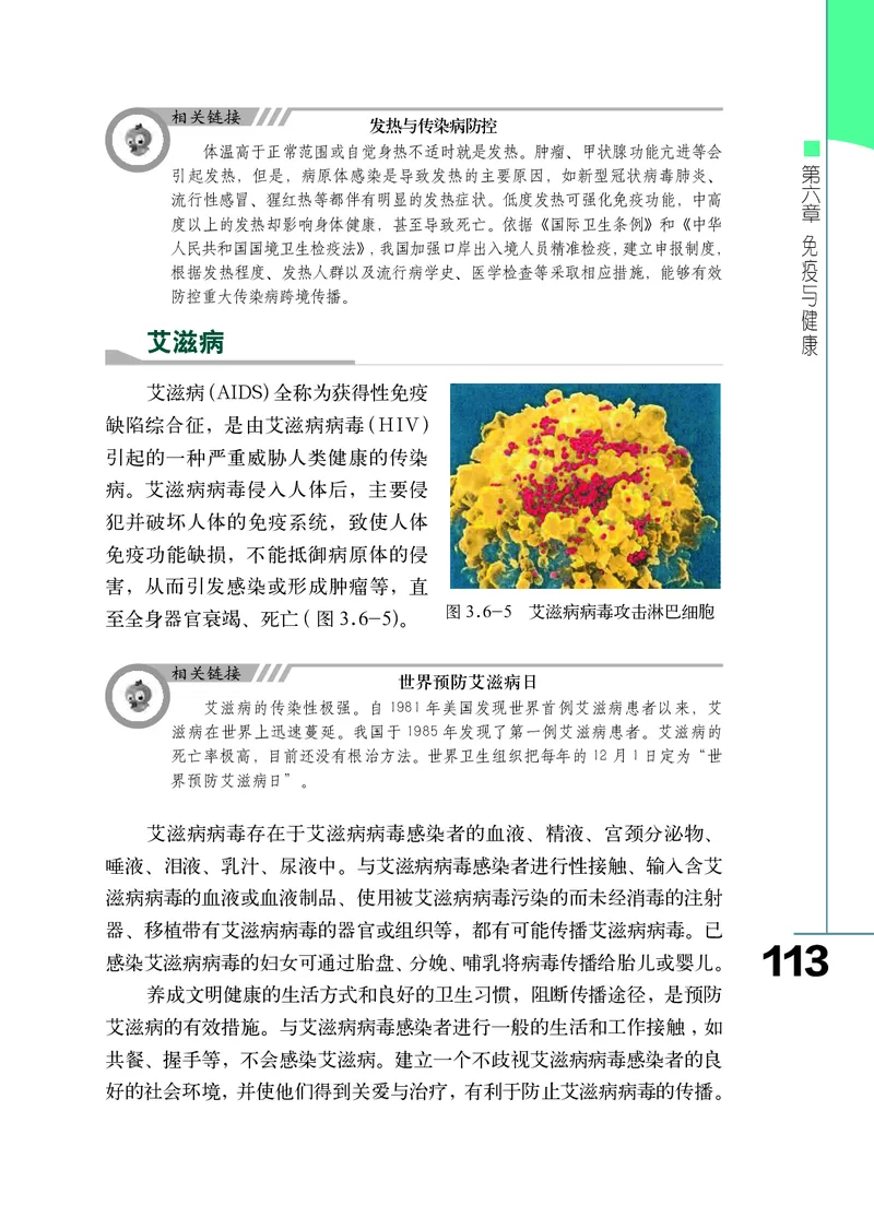 济南版7年级生物下册高清教材_4-教培资料-26年最新资料-同步更新_初中高中教资_03科三专项（进去保存报考的学科即可）_02科三专项（笔记真题思维导图教学设计版本二）