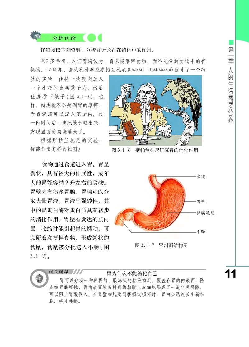 济南版7年级生物下册高清教材_4-教培资料-26年最新资料-同步更新_初中高中教资_03科三专项（进去保存报考的学科即可）_02科三专项（笔记真题思维导图教学设计版本二）