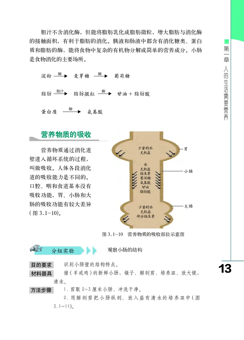 济南版7年级生物下册高清教材_4-教培资料-26年最新资料-同步更新_初中高中教资_03科三专项（进去保存报考的学科即可）_02科三专项（笔记真题思维导图教学设计版本二）