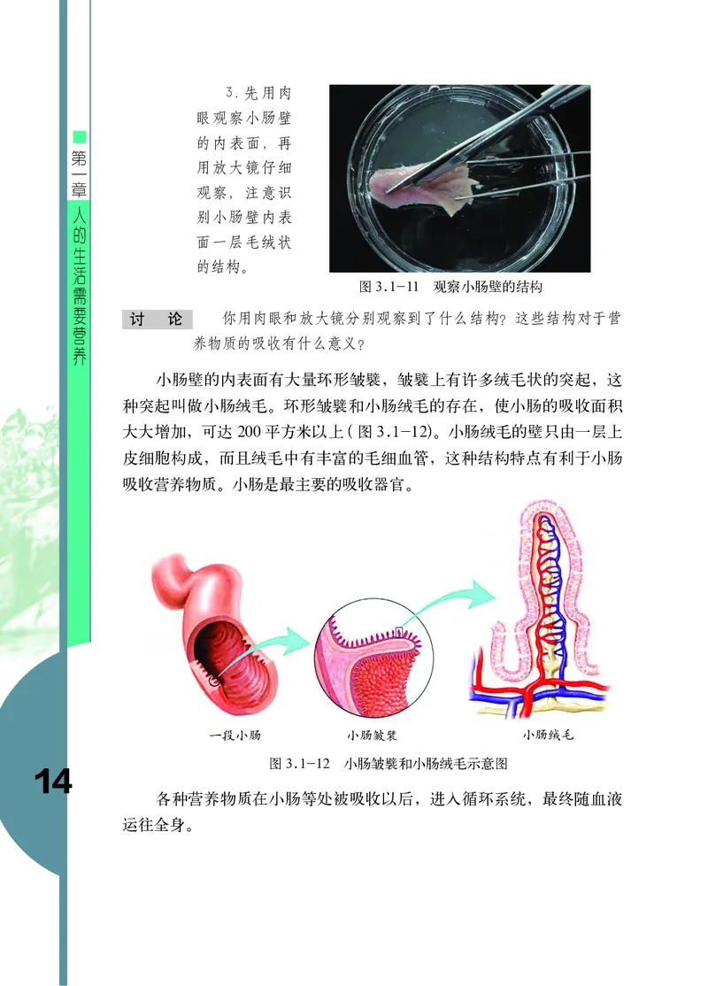 济南版7年级生物下册高清教材_4-教培资料-26年最新资料-同步更新_初中高中教资_03科三专项（进去保存报考的学科即可）_02科三专项（笔记真题思维导图教学设计版本二）