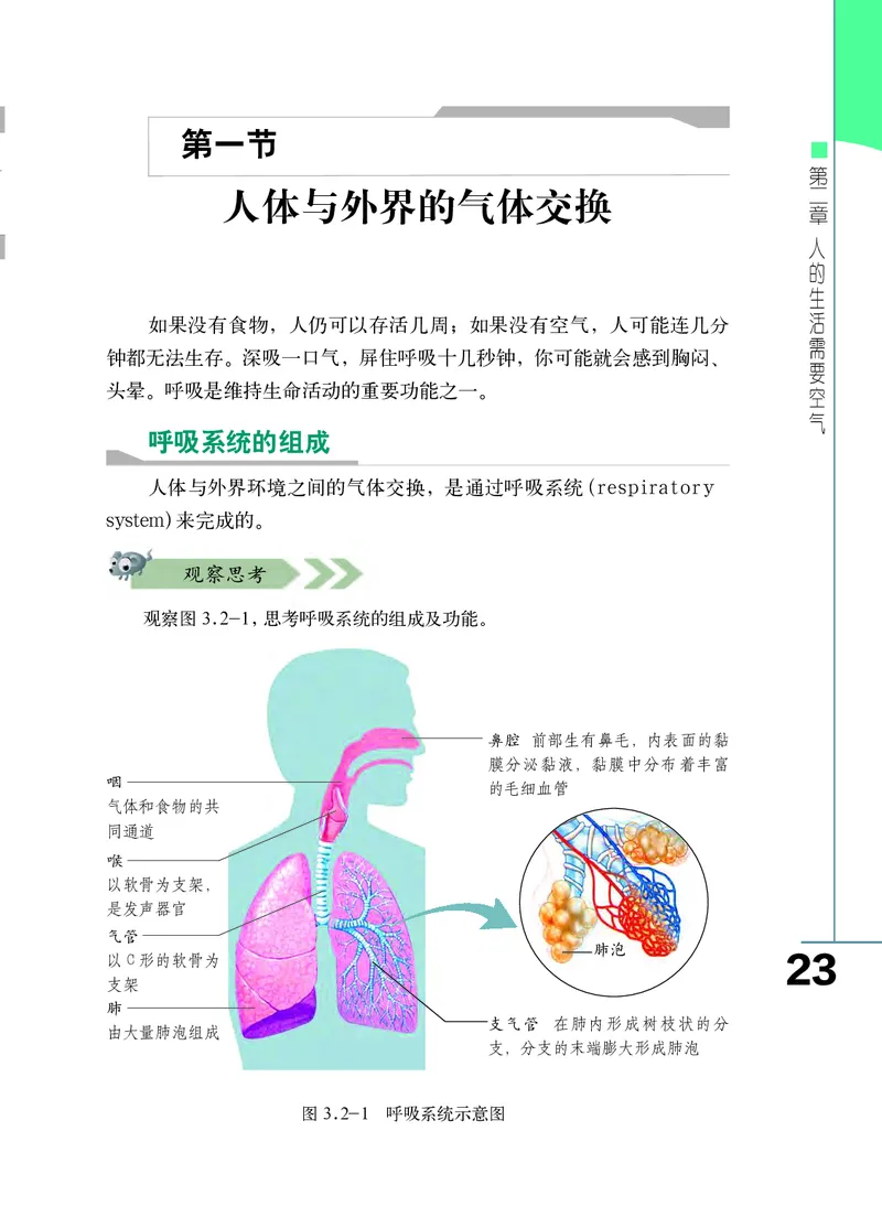 济南版7年级生物下册高清教材_4-教培资料-26年最新资料-同步更新_初中高中教资_03科三专项（进去保存报考的学科即可）_02科三专项（笔记真题思维导图教学设计版本二）
